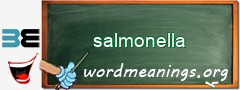 WordMeaning blackboard for salmonella